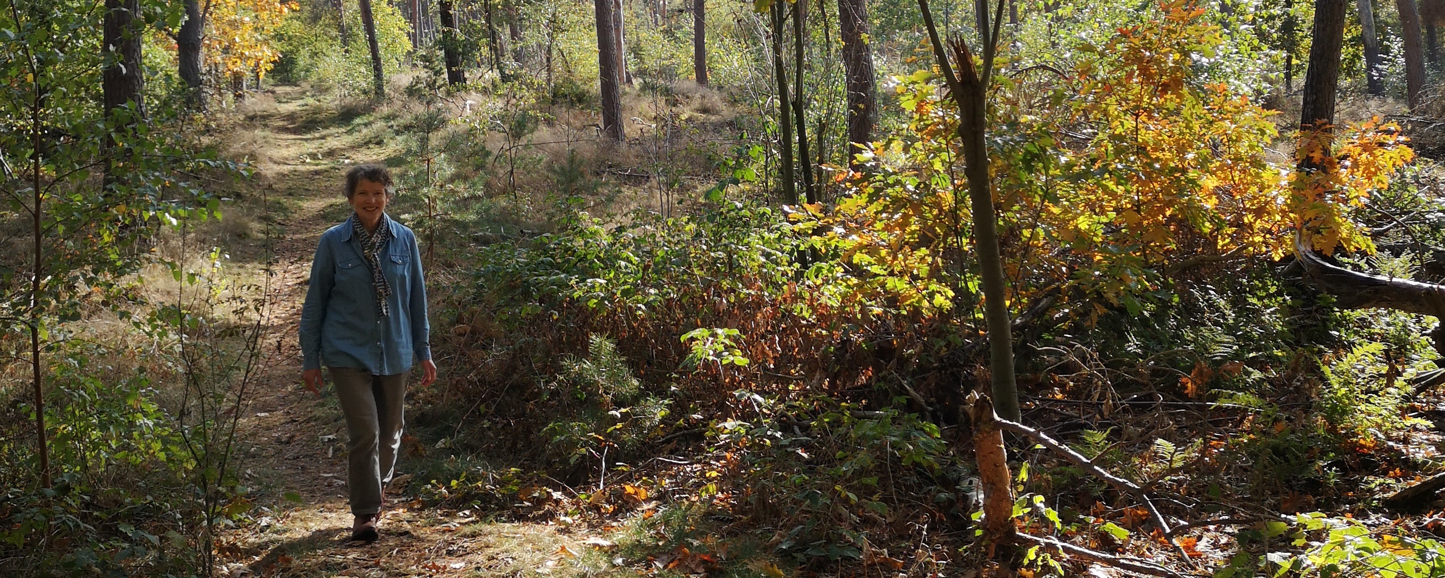 Natuur in Geldrop-Mierlo